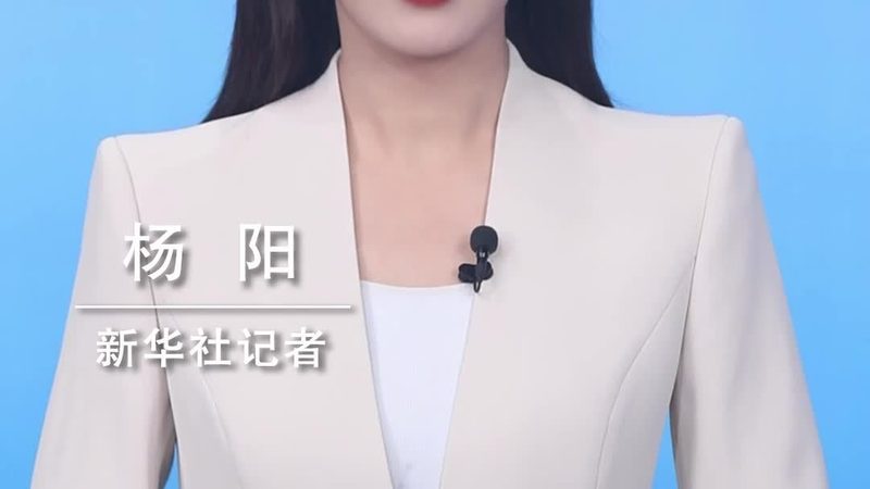 人工智能应用领域优缺点解析与对比